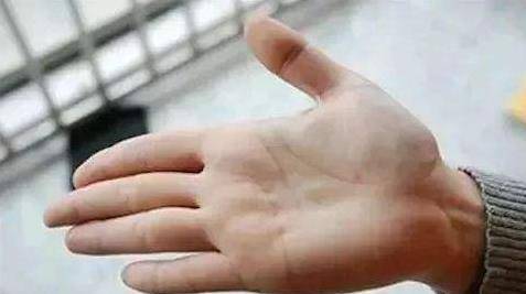 什么是五指 c4c25e3a64a9441293929dc85c3fd83f.jpeg