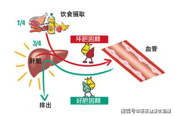 f04ff840aa0a454bb2d783499de60a14.png