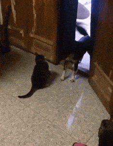 搞笑gif段子:10,要不是我媳妇跟着,我今天肯定追尾!