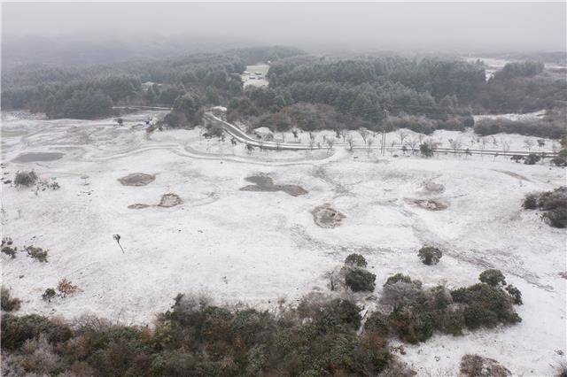 百里杜鹃，一下雪就美成仙境