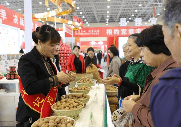 刘小元宜君女人