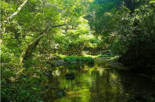 藏于安徽深山里的美景地，位于黄山却鲜为人知，人少景美门票低