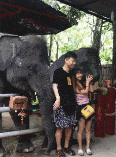 原创搞笑gif段子小姑娘你的蛋糕没了