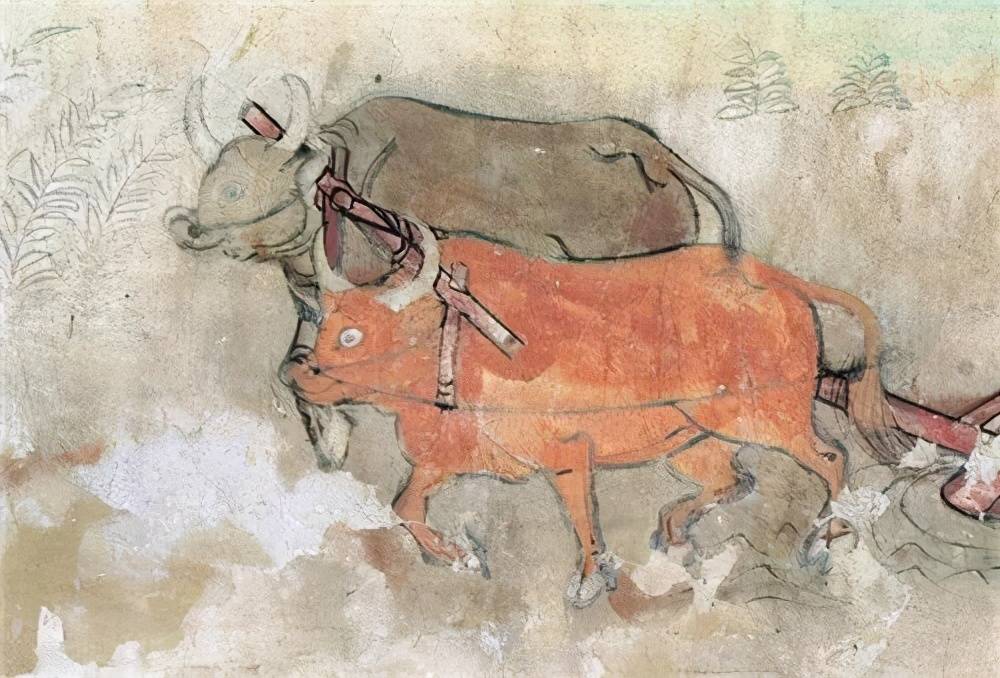 古代敦煌壁画中的牛