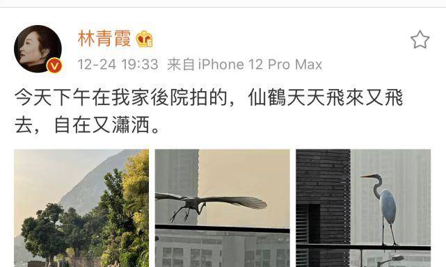 林青霞接种新冠疫苗！