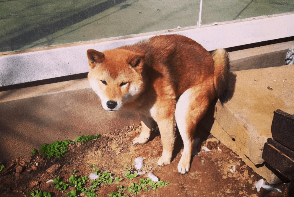 aaf75f5d4bf04b57977d8ac09a747e62.png