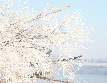 冰雪世界雾凇岛，凉席热炕大花袄，乌拉火锅粘豆包