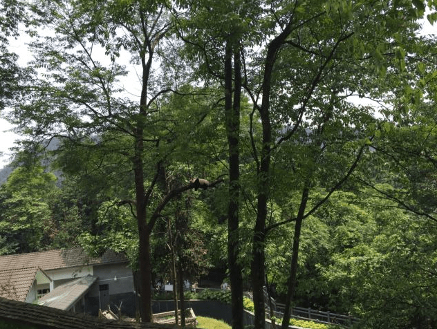 雅安市2020年GDP_雅安市地图(3)