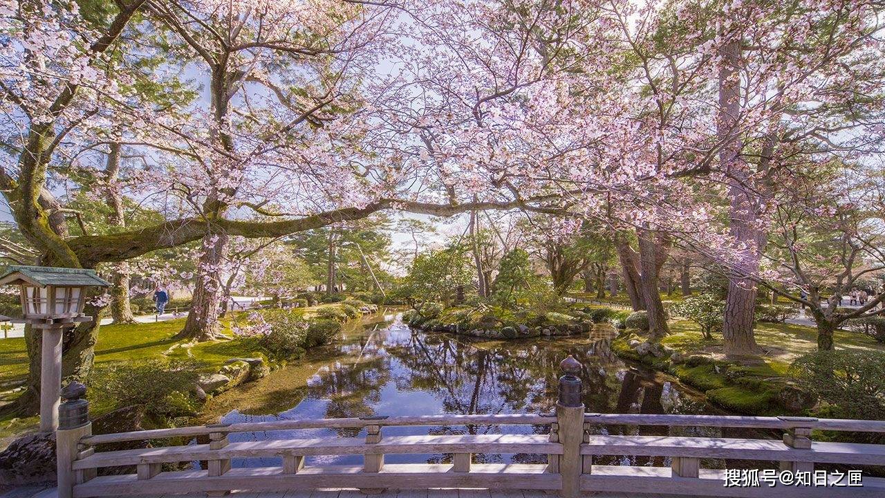 夜灯下的奇幻色彩！日本三大名园——兼六园的秋与冬！