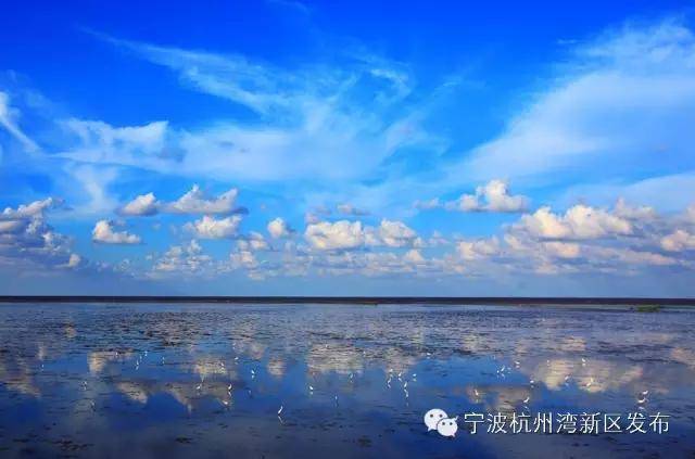 溪影花语,天鹅戏晖,乌篷樵风,碧沙宿鹭,蒹葭秋雪,麋鹿悠游,镜花水月