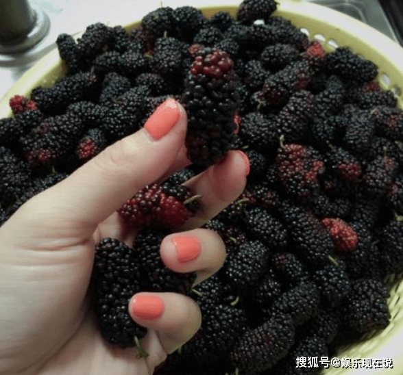1d40c53347f2486facf7ffd8ef594d7a.png