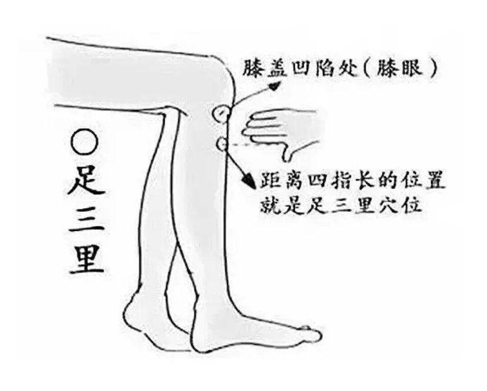 88b2d940a2e14a0fb0ead28ab6b02426.jpeg