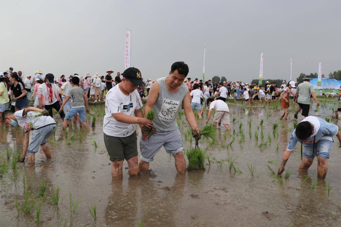 高新区：文旅融合绽放新魅力 让“诗和远方”珠联璧合