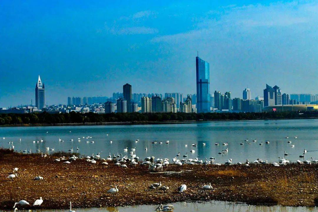三门峡市区人口2021_三门峡市区地图(2)