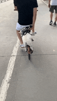 看你这骑车一晃一摆地我坐在后面都发抖.