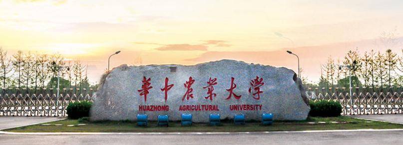 全国2020高校排名_2020年,我国科技类大学排名已公布,中科大居