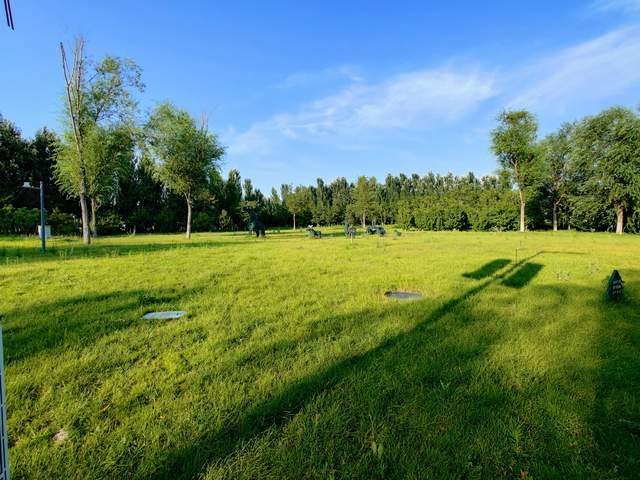 屏幕|OPPO Find X2 Pro，能够惊艳感官的旗舰手机