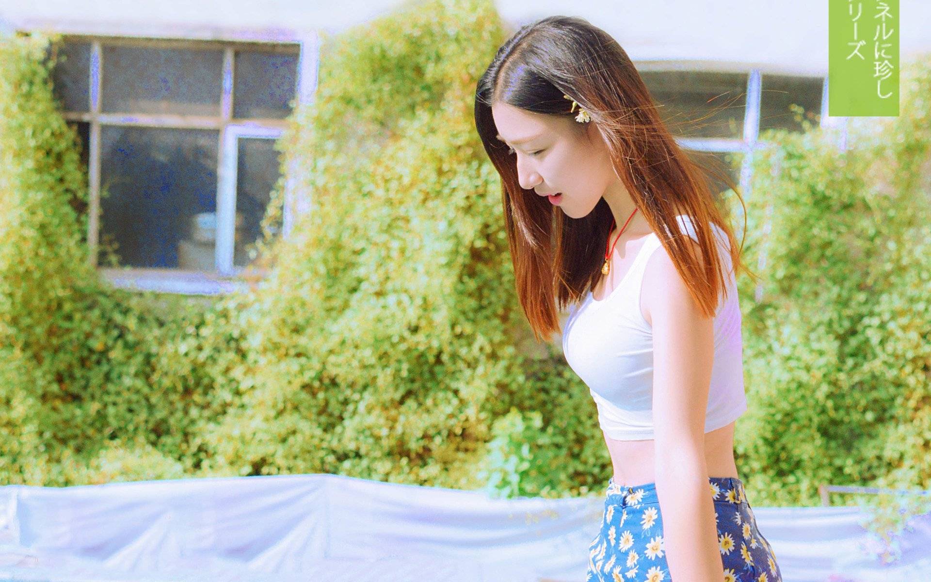 d23e6993297943a6b428259cb1c03f5f.jpeg