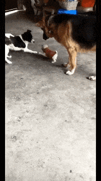 偷胎 搞笑段子 返回搜             责任编辑