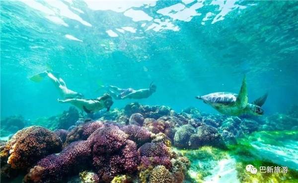 全球独一份｜失落的伊甸园——巴布亚新几内亚潜水终极指南