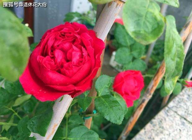 f95bec6af98946cc8c81d54dcf574925.jpeg