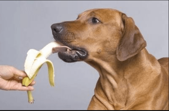 31f6ec02bb444ecc8ae9e42570dbbf75.png