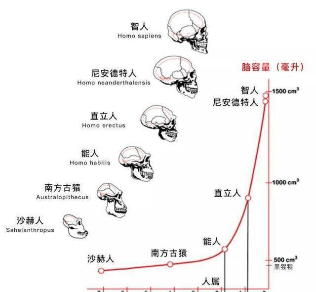 理论进化生物学人口经济方向_高速人口方向图片