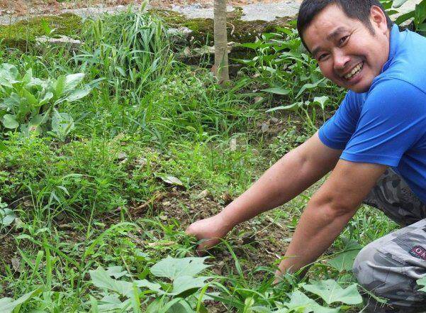 草什么门成语_草什么花什么成语(2)