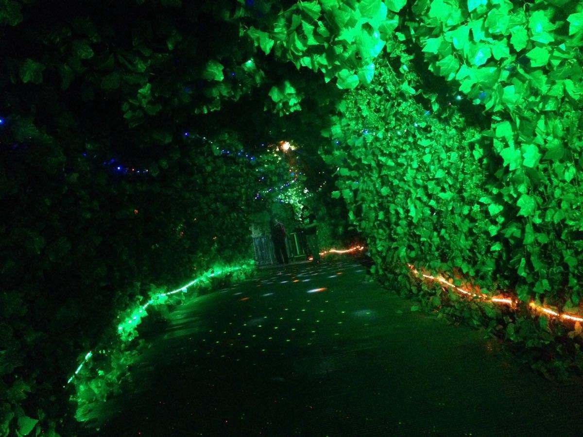 2020年GDP哈尔滨_2020年哈尔滨冰灯图片(2)