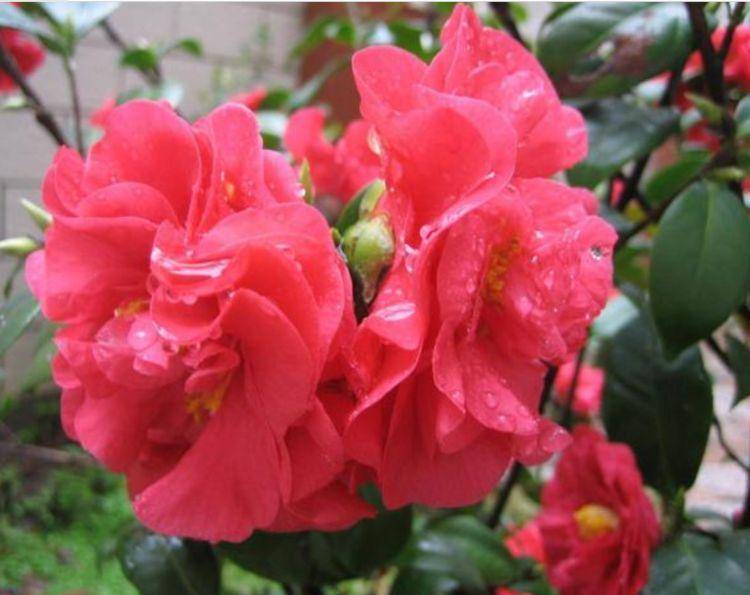 26d1139a24b4487f8e4a40685383021d.jpeg