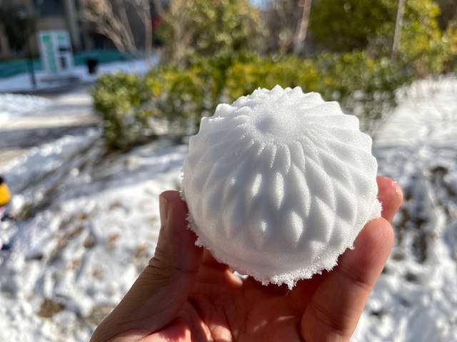 视频|iPhone 12 Pro实拍体验：拍雪后人像似乎有空气感