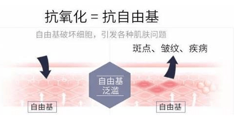 47a69e716fca4fdc8d2d7ddcddf9c3d1.png
