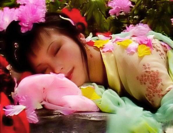 "话口袋子"史湘云竟是任人打扮的小姑娘_什么