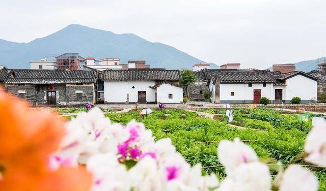 广东省唯一的五线城市，GDP常年倒数第一，但旅游资源非常丰富