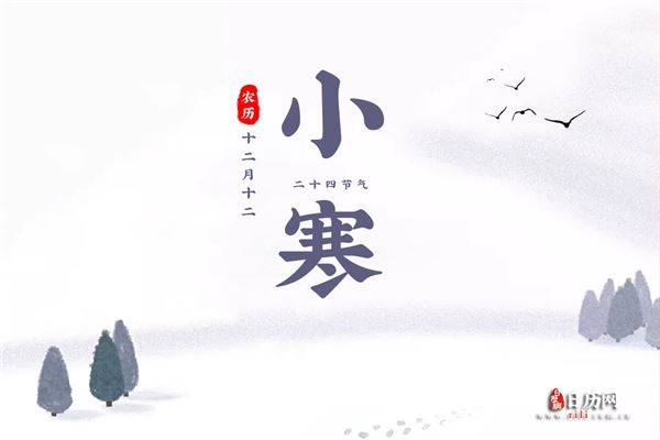 巢鹊什么成语_鹊始巢图片(2)