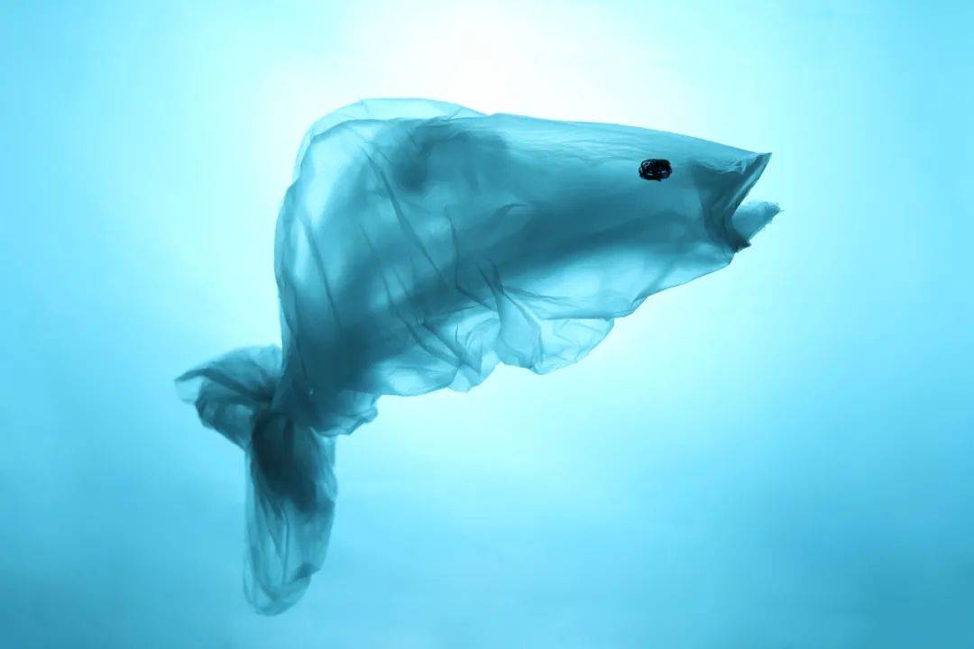 因为吃海鲜,人体每年或摄入5.5万微塑料!_于海洋