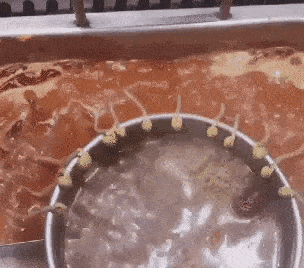 搞笑gif段子:我就吃一口,真的!_老婆