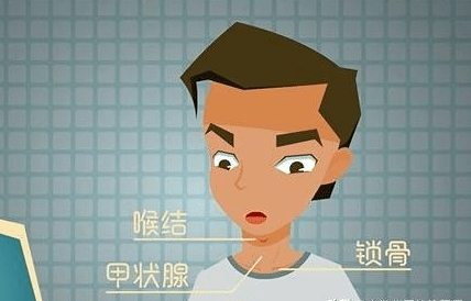 喉结以下,锁骨以上,吞口水时,摸到那个会动的,软软的东西就是甲状腺啦