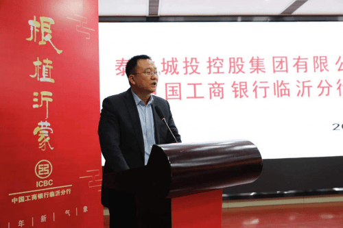 2020年临沂经济总量排名_2020年临沂初中划片图(2)