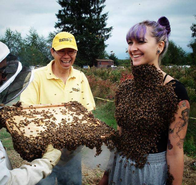 蜜蜂视频真实拍摄 3a797ea5571d405f8b16fd2a6781db26.jpeg