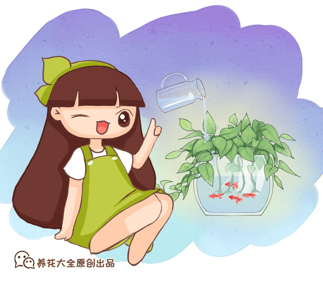 4daba97d37a24085aded10caea1d75c5.png