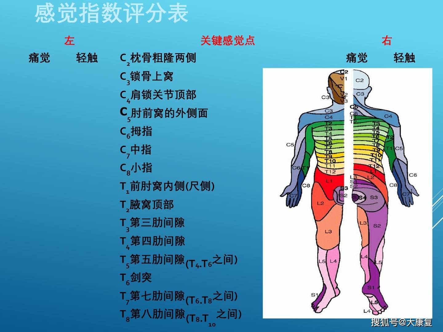 截瘫及四肢瘫的康复评定