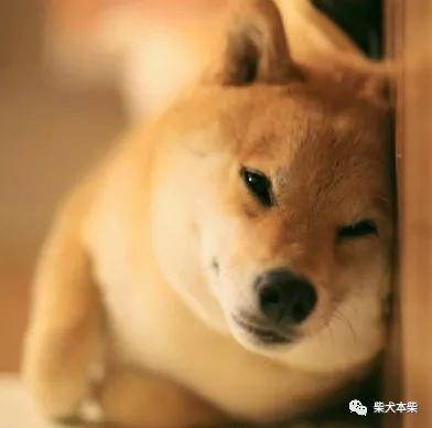 76f58f9b465344078aedbe728c89b361.jpeg