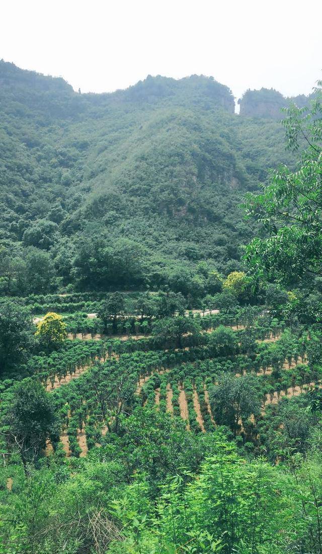 这个5A景区边的优美山地，被誉为河南九寨沟，趁未收门票赶紧去