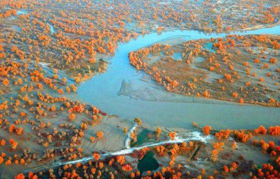 塔里木盆地位于新疆的哪里 2db6ee1d4cf64536872aac4cbed7f9d6.jpeg