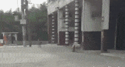 搞笑gif段子:单身太久的男生究竟有多可怕