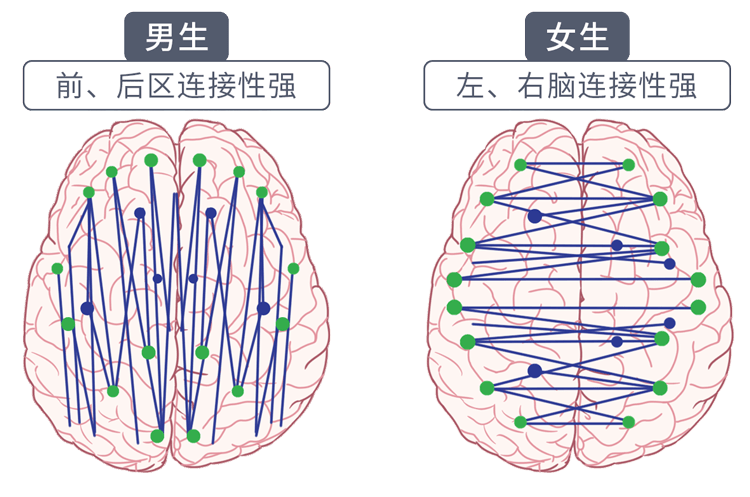 男女思维的差异在哪里?了解各自的"脑回路",成为沟通高手