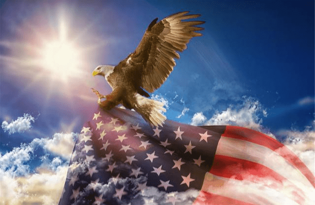 印度gdp多水_印度各邦gdp