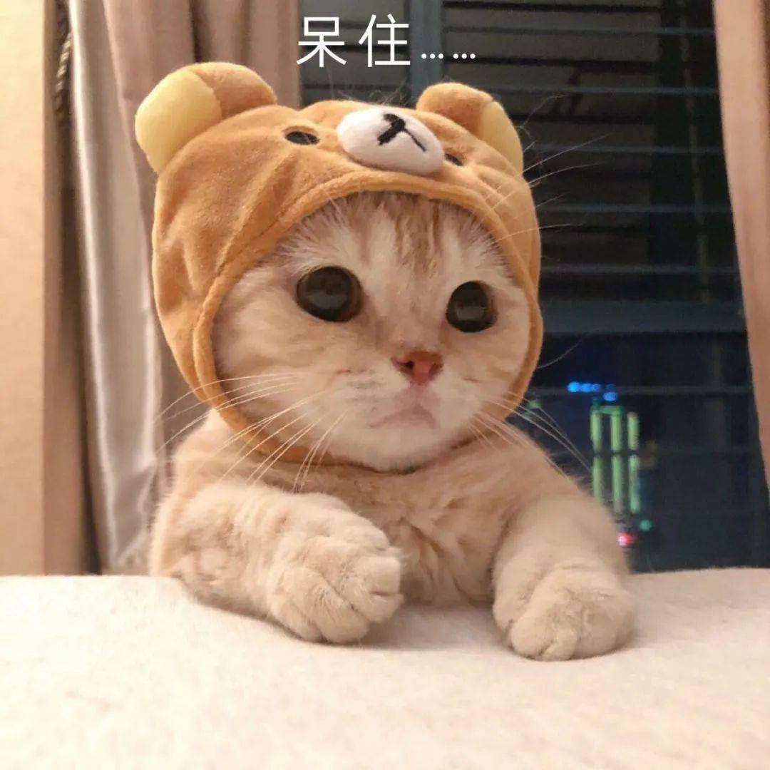 可可爱爱的表情包 f319b2ea3c434cee85a12b725de5c982.jpeg