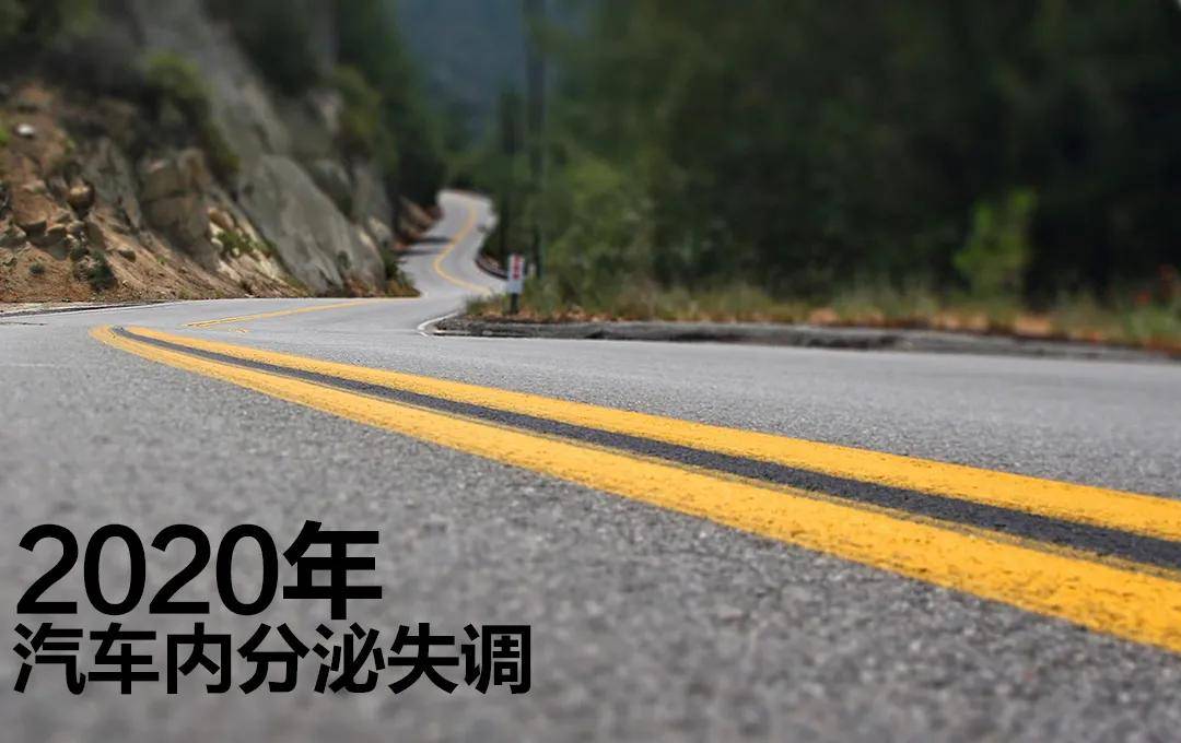 原版2020,汽车行业内分泌失调